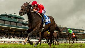 Tam Tam, Queen Elizabeth II Challenge Cup Stakes, Keeneland, Breeders' Cup, horse racing, America's Best Racing, ABR